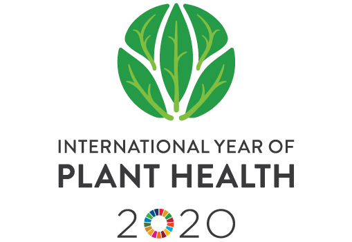 Logo leto zdravja rastlin 2020